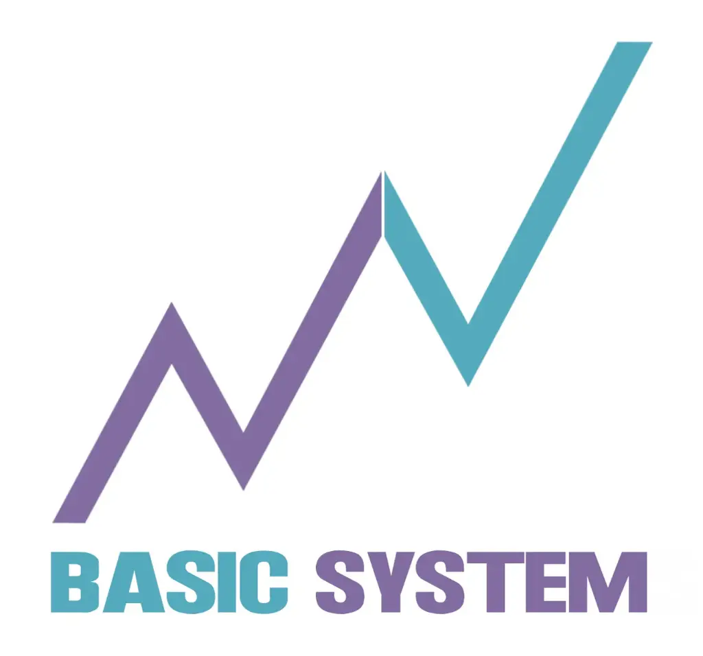 Basic System