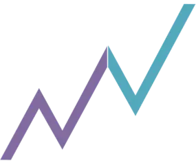 nvsystems